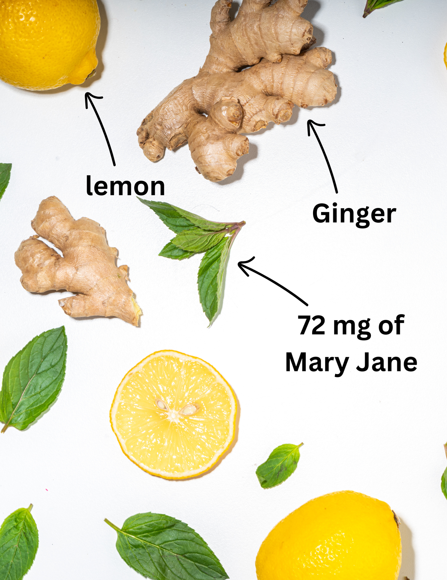 "Heal, Honey" ~ Lemon + Ginger Elevated Raw Honey